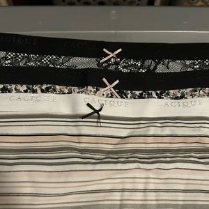 Lane Bryant Cacique Full Brief